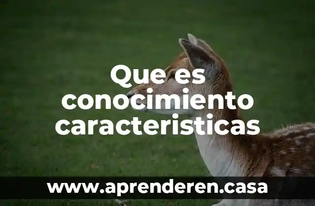 Que es conocimiento caracteristicas