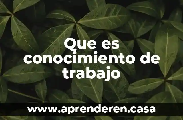 Que es conocimiento de trabajo