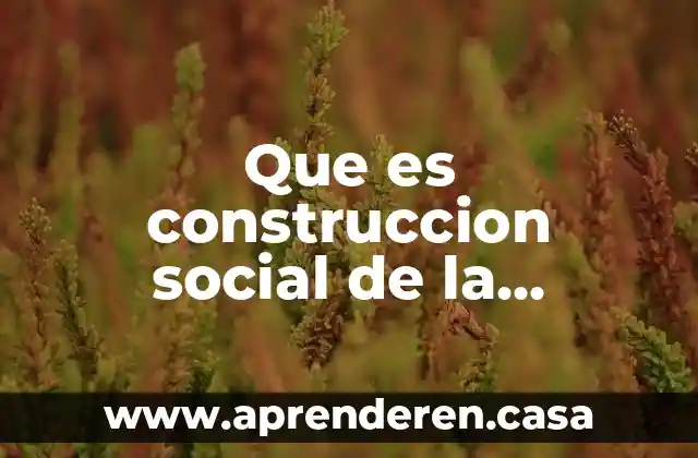 Que es construccion social de la realidad