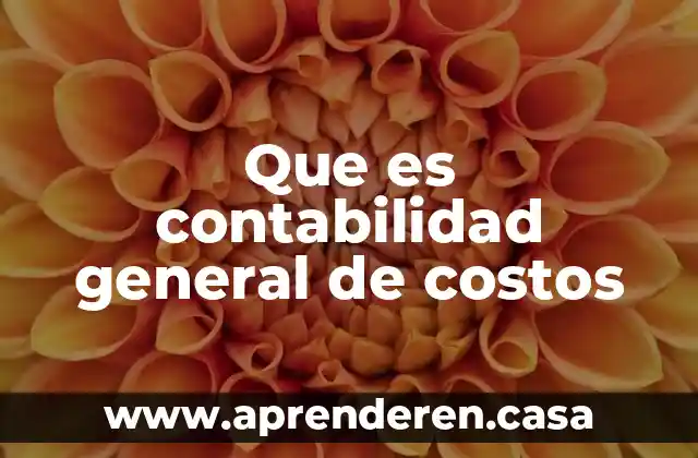 Presupuesto de costos que es 3 Que es contabilidad general de costos