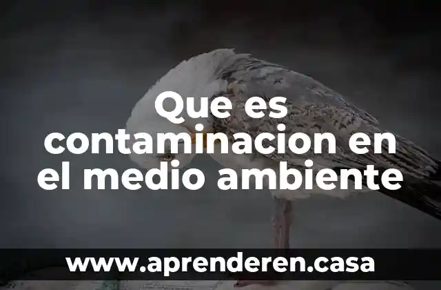 Que es contaminacion en el medio ambiente