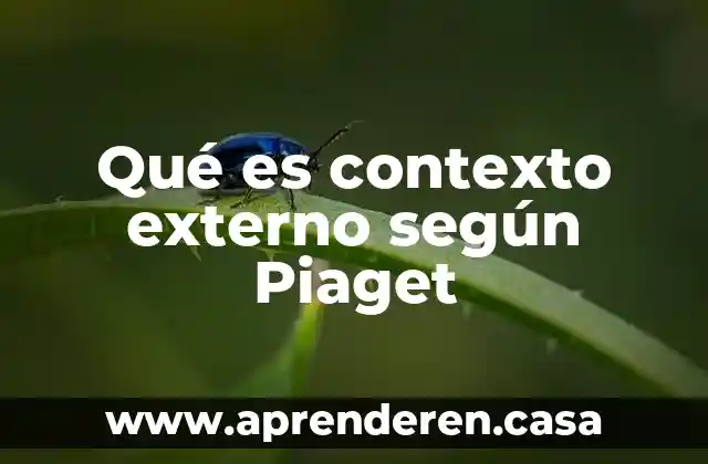 Qué es contexto externo según Piaget