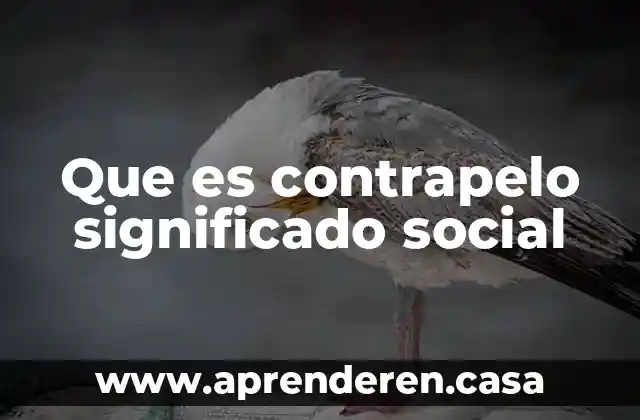 Que es contrapelo significado social