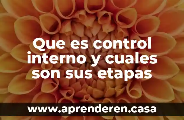 Que es una solucion quimica y cuales son sus partes 6 Que es control interno y cuales son sus etapas