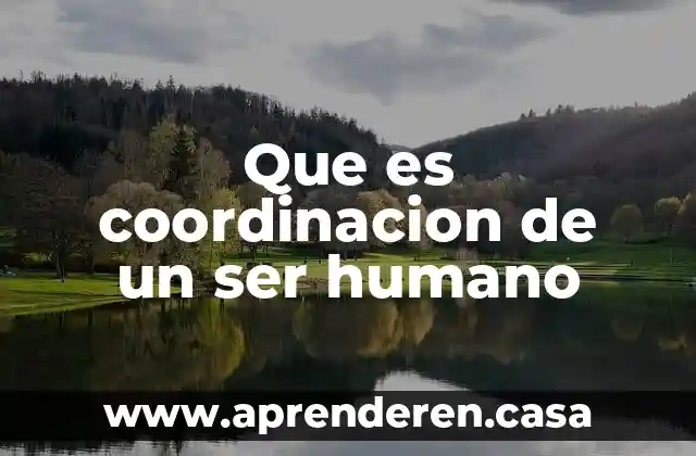 Que es coordinacion de un ser humano
