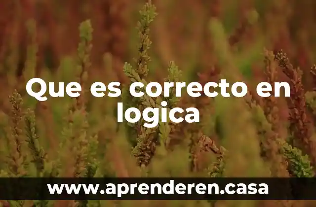 Que es correcto en logica