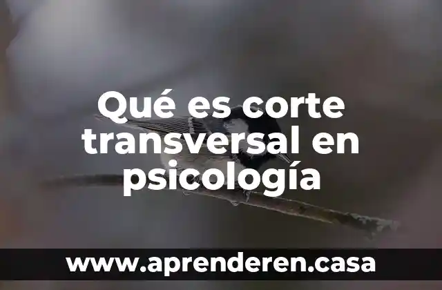 Qué es corte transversal en psicología