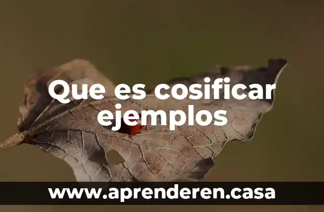 Que es cosificar ejemplos