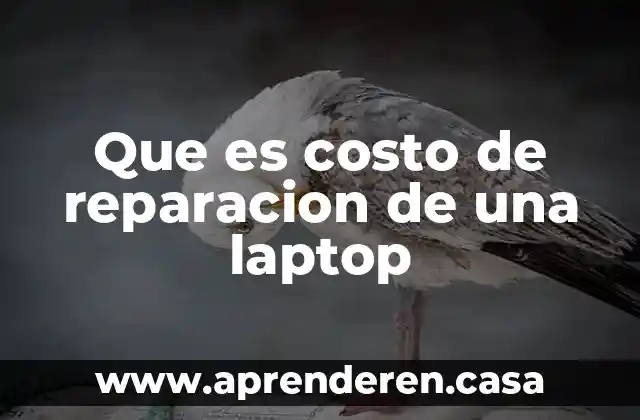 Que es costo de reparacion de una laptop