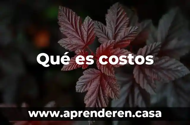 Presupuesto de costos que es 4 Qué es costos