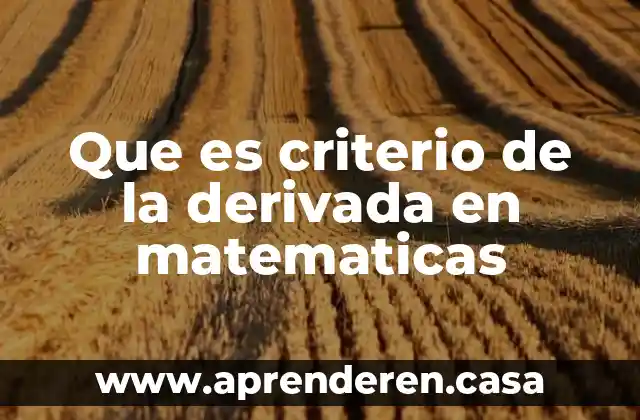 Que es criterio de la derivada en matematicas