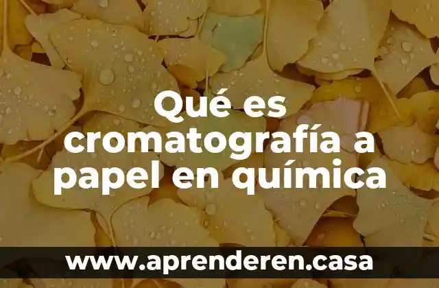 Qué es cromatografía a papel en química