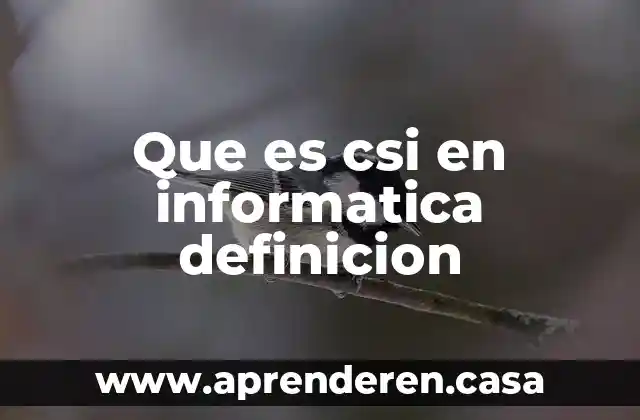 Que es csi en informatica definicion