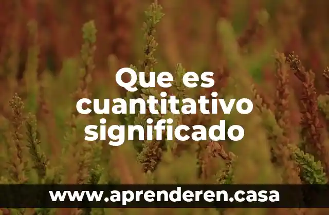 Que es icono significado 5 Que es cuantitativo significado