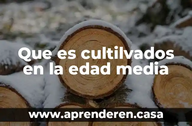 Adobe Media Encoder CC que es 4 Que es cultilvados en la edad media