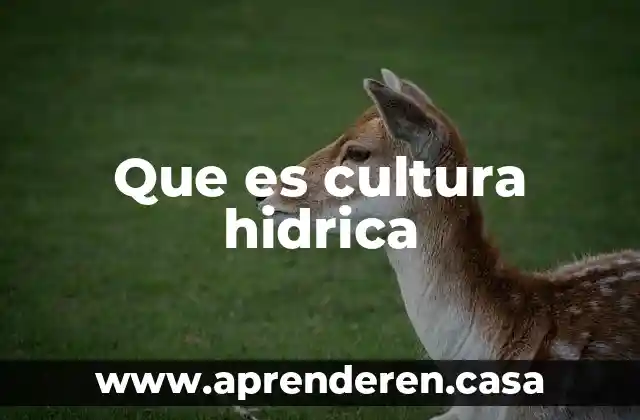 Que es cultura hidrica