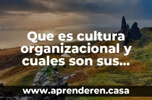 Que es cultura organizacional y cuales son sus características comunes