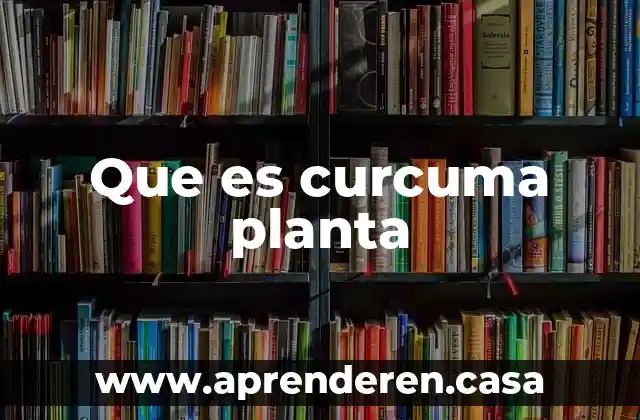 Que es curcuma planta