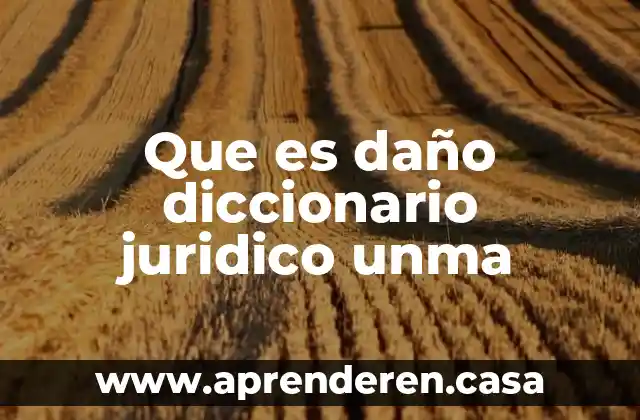 Que es daño diccionario juridico unma