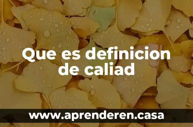Que es definicion de caliad