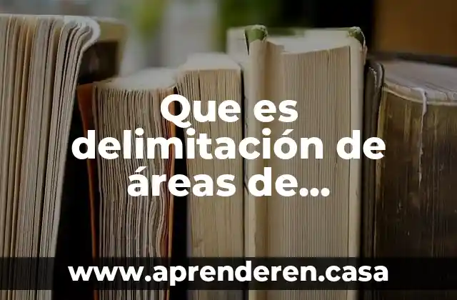 Que es delimitación de áreas de oportunidad