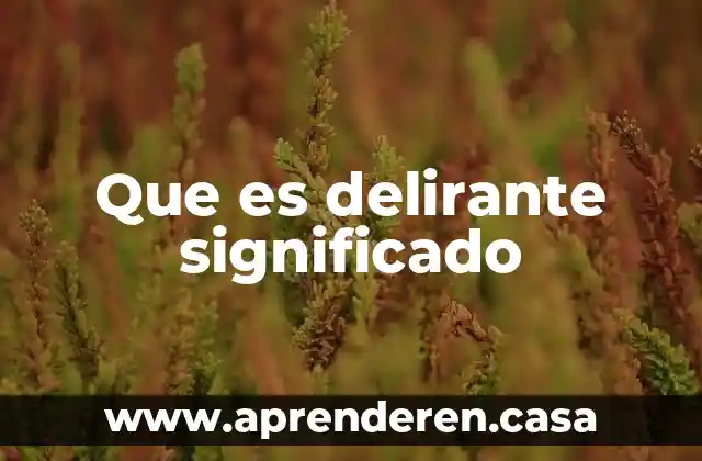 Que es delirante significado
