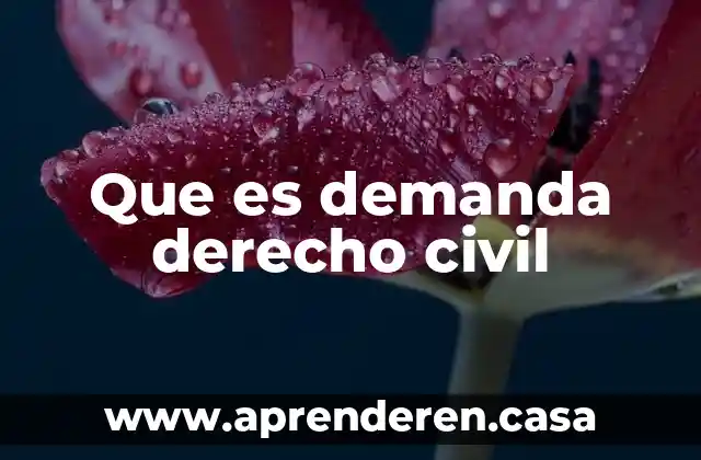 Que es demanda derecho civil