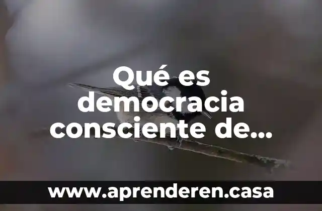 Que es perspectiva de genero derechos humanos 6 Qué es democracia consciente de derechos