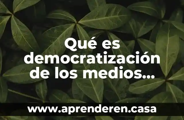 Qué es democratización de los medios digitales