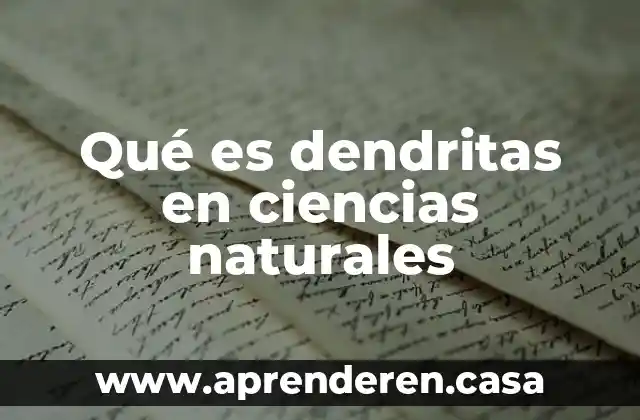 Qué es dendritas en ciencias naturales