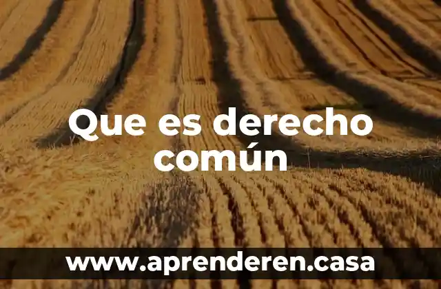 Que es un componente comun 6 Que es derecho común