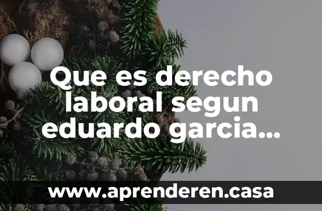 Que es derecho laboral segun eduardo garcia maynez