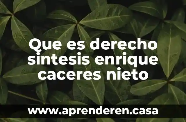 Que es derecho sintesis enrique caceres nieto
