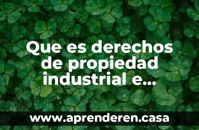 Que es derechos de propiedad industrial e intelectual
