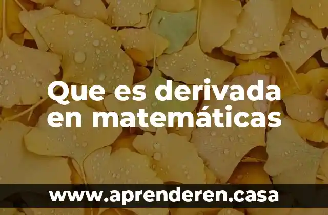 Que es derivada en matemáticas