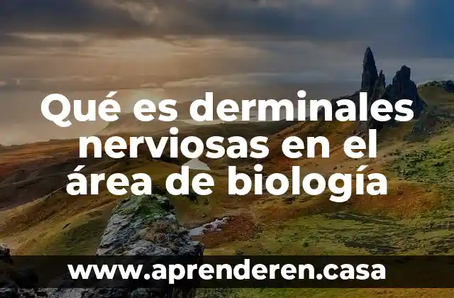 Qué es derminales nerviosas en el área de biología