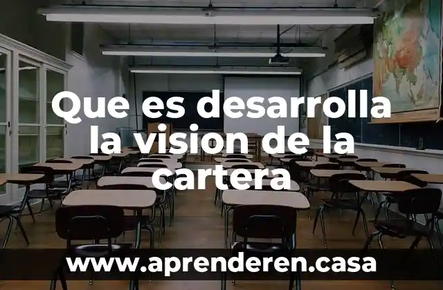Que es desarrolla la vision de la cartera