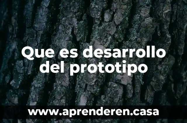 Qué es prototipo primario 3 Que es desarrollo del prototipo
