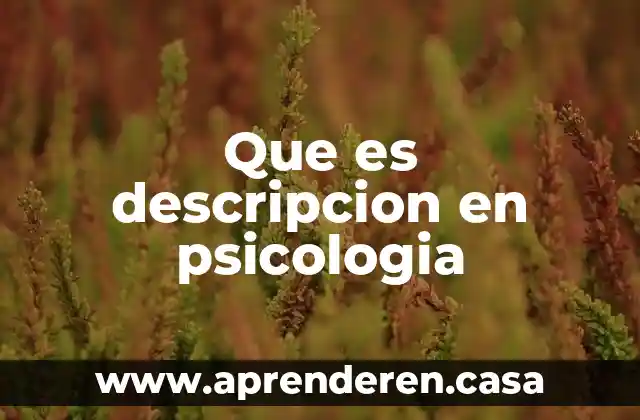 Que es descripcion en psicologia