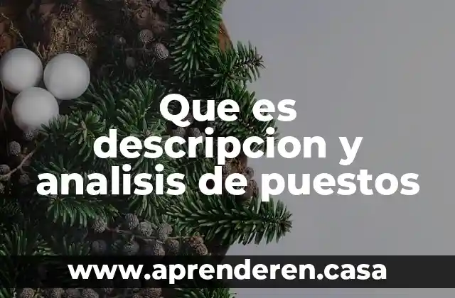 Que es un plan de analisis 7 Que es descripcion y analisis de puestos