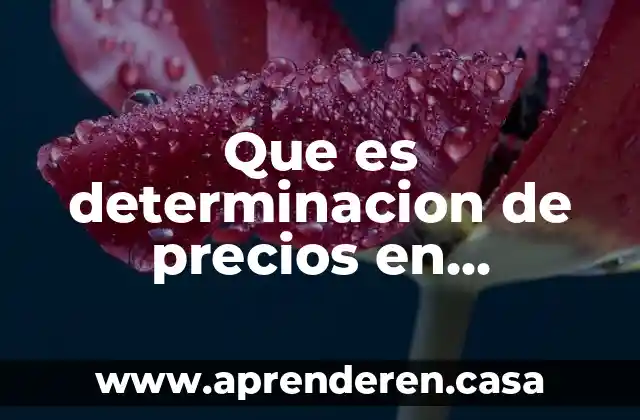 La macroeconomía de una economía abierta que es 8 Que es determinacion de precios en economia