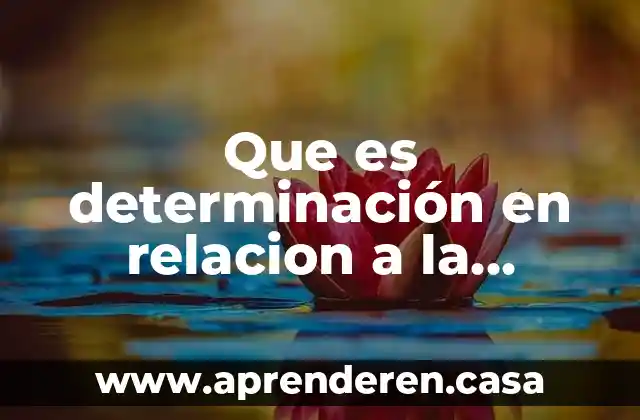 Que es determinación en relacion a la discapacidad