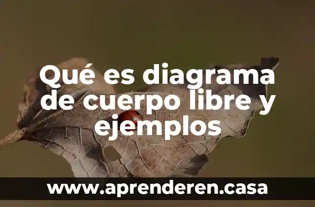 Qué es diagrama de cuerpo libre y ejemplos