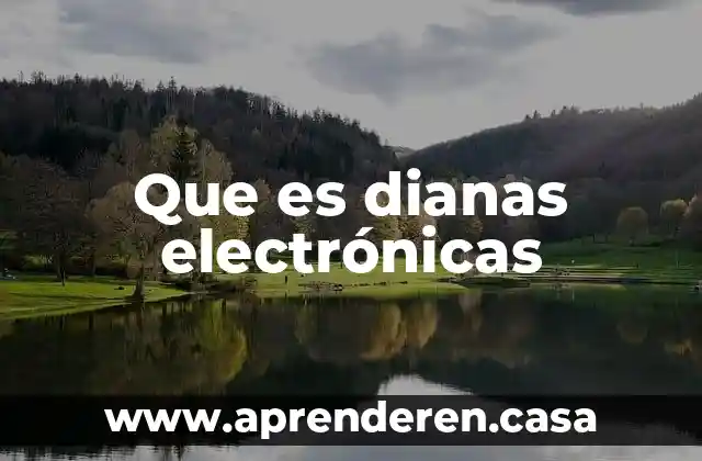 Que es y en que consisten las cargas electronicas 5 Que es dianas electrónicas