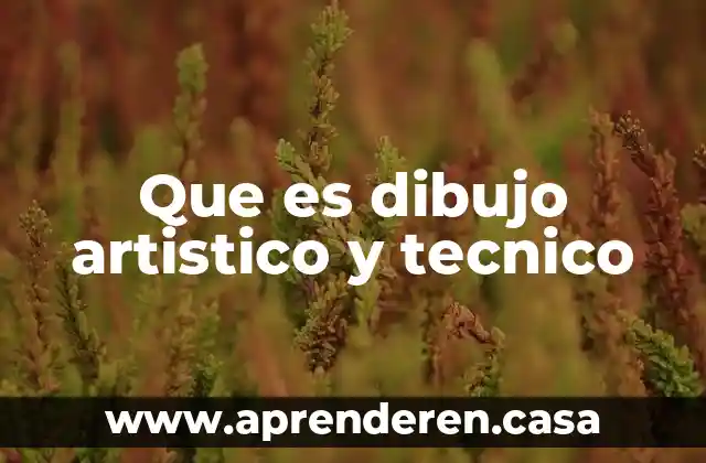 Que es el dibujo y clases de dibujo 4 Que es dibujo artistico y tecnico
