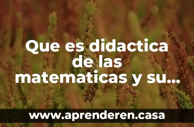 Que es didactica de las matematicas y su historia