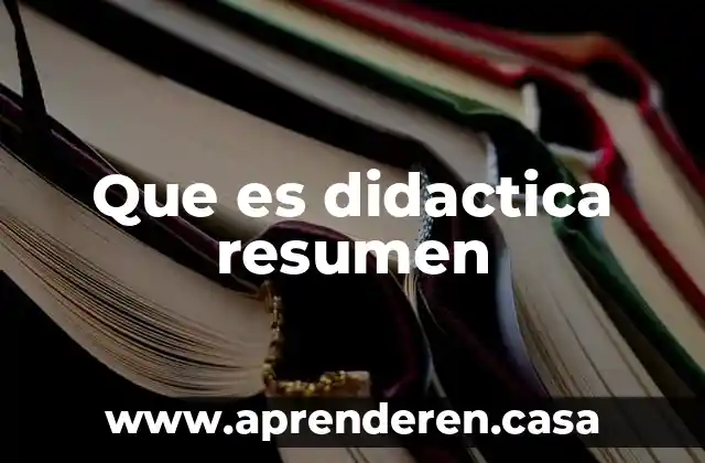 Que es didactica resumen