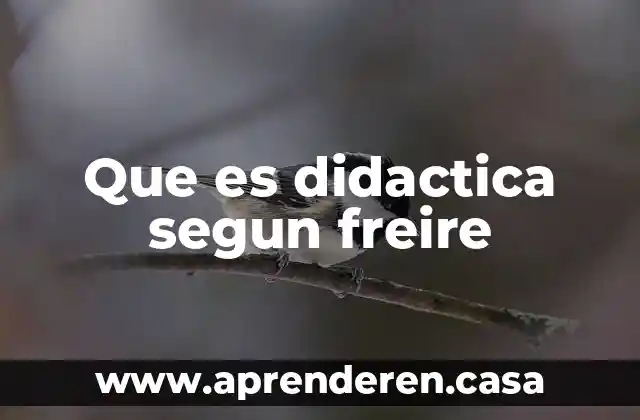 Que es estructura segun la hisotira 6 Que es didactica segun freire