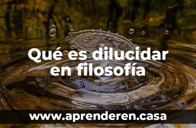 Qué es dilucidar en filosofía