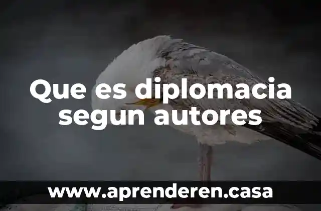 Que es diplomacia segun autores